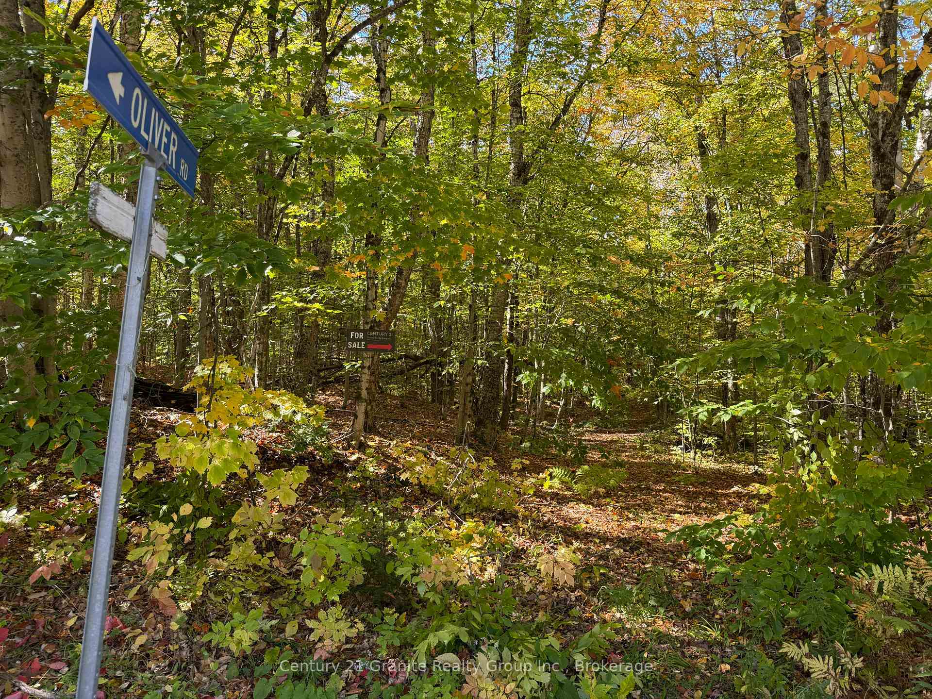 Photo of 00 Kushog Lake Road