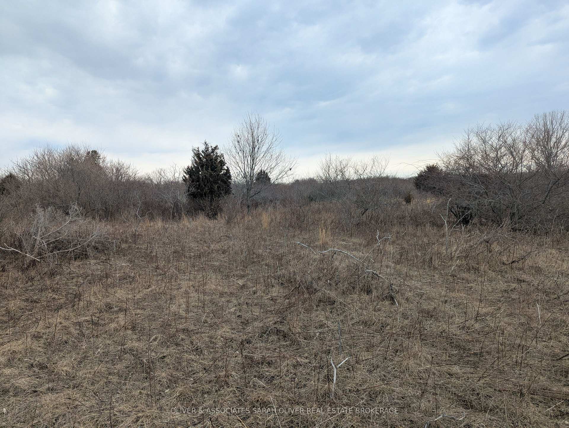 Photo 9 of Between 25097 & 24745 Gray Line, West Elgin, Rural West Elgin — HOMEH