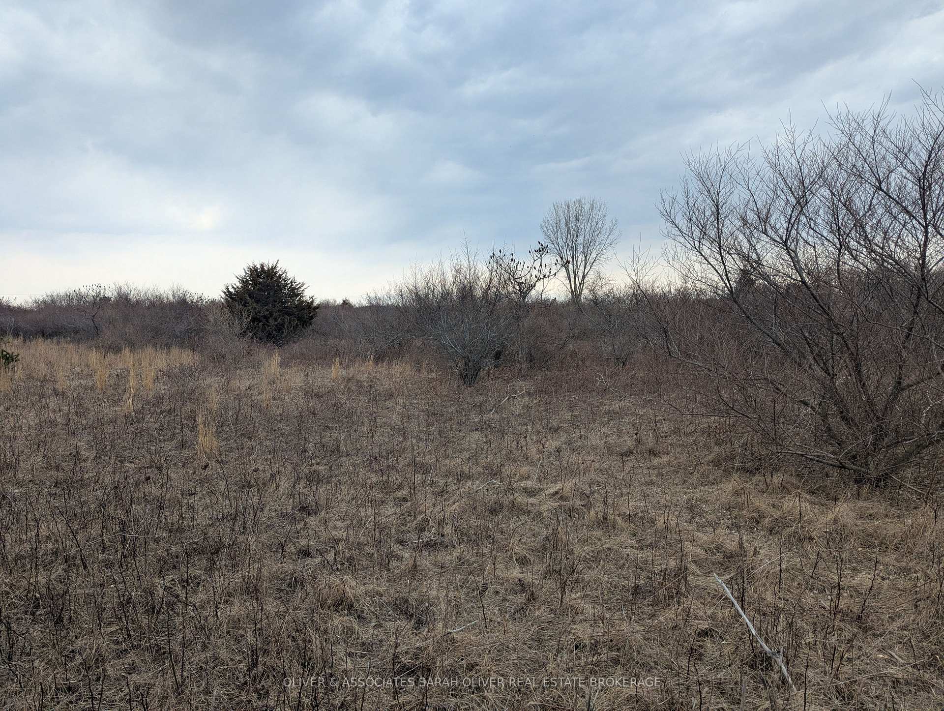 Photo 12 of Between 25097 & 24745 Gray Line, West Elgin, Rural West Elgin — HOMEH