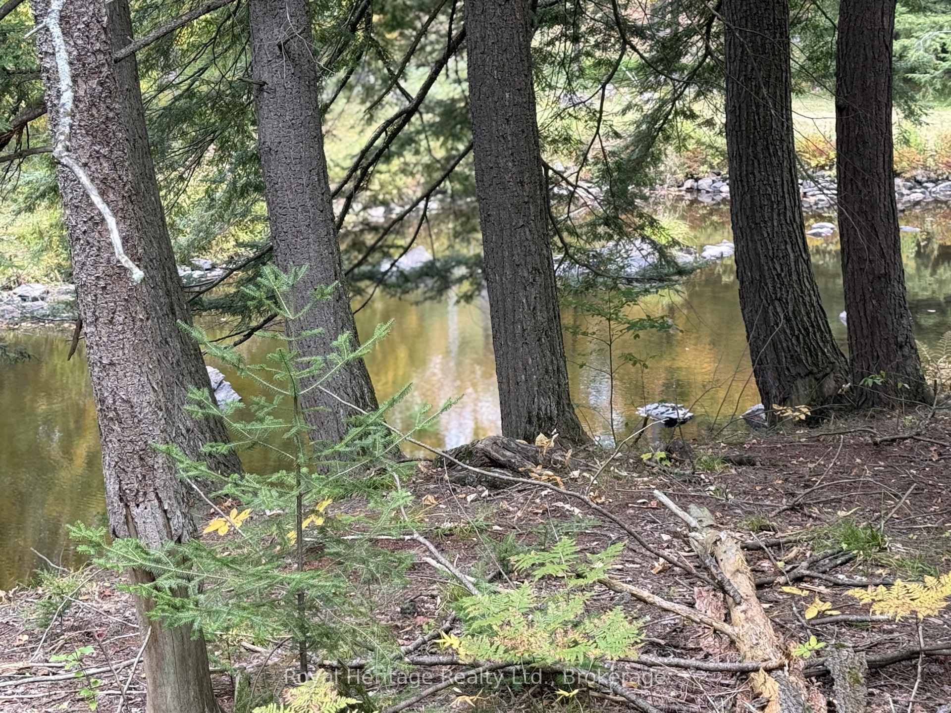 Photo 2 of 7 Fire route 92, Trent Lakes — HOMEH