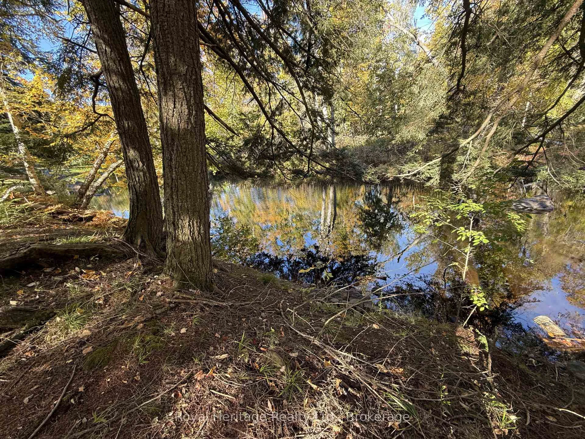Photo 3 of 7 Fire route 92, Trent Lakes — HOMEH