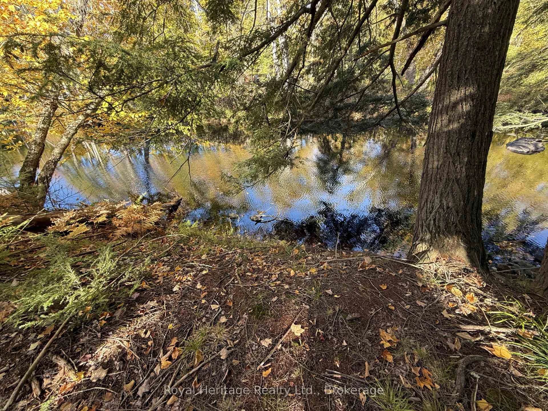 Photo 6 of 7 Fire route 92, Trent Lakes — HOMEH