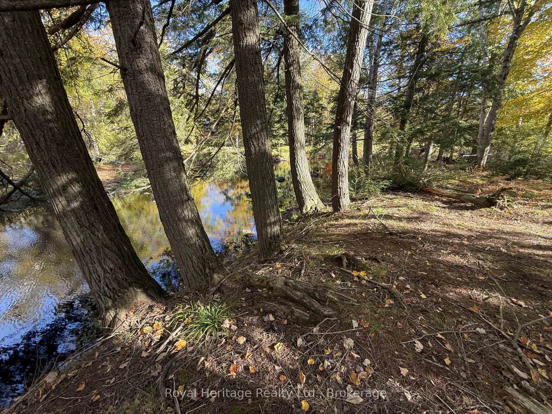 Photo 8 of 7 Fire route 92, Trent Lakes — HOMEH