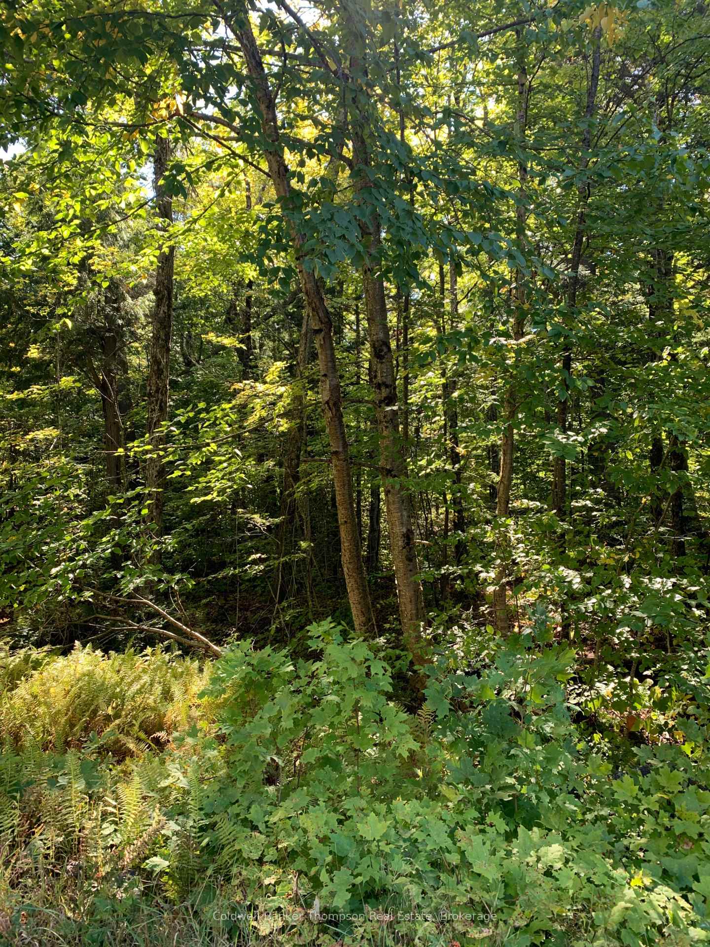 Photo of 0 Ahmic Lake Road