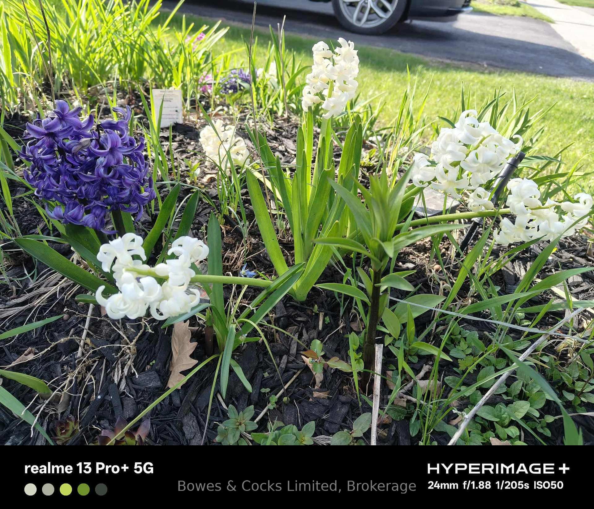 Photo 47 of 210 Farrier Crescent, Peterborough, Northcrest Ward 5 — HOMEH