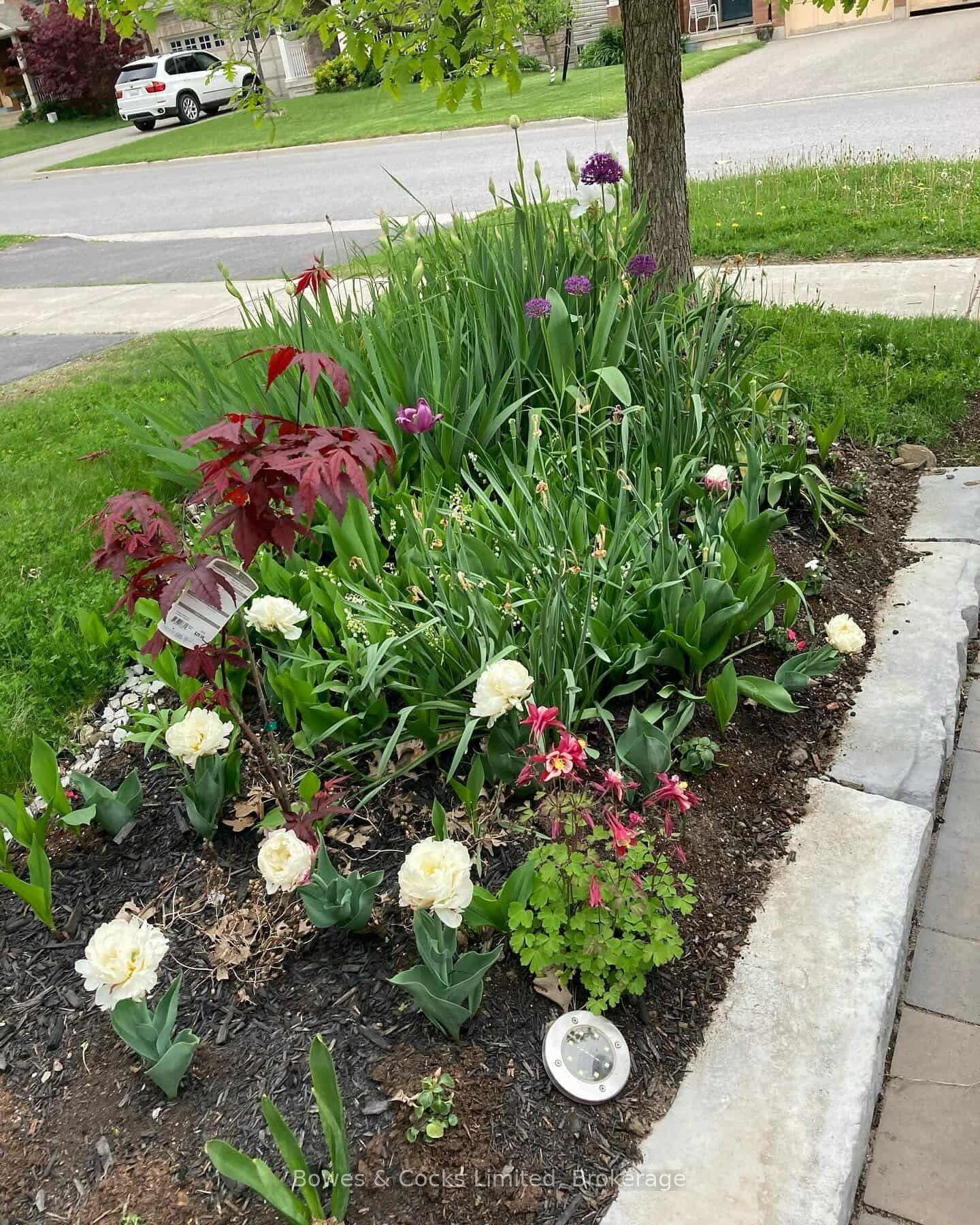 Photo 50 of 210 Farrier Crescent, Peterborough, Northcrest Ward 5 — HOMEH