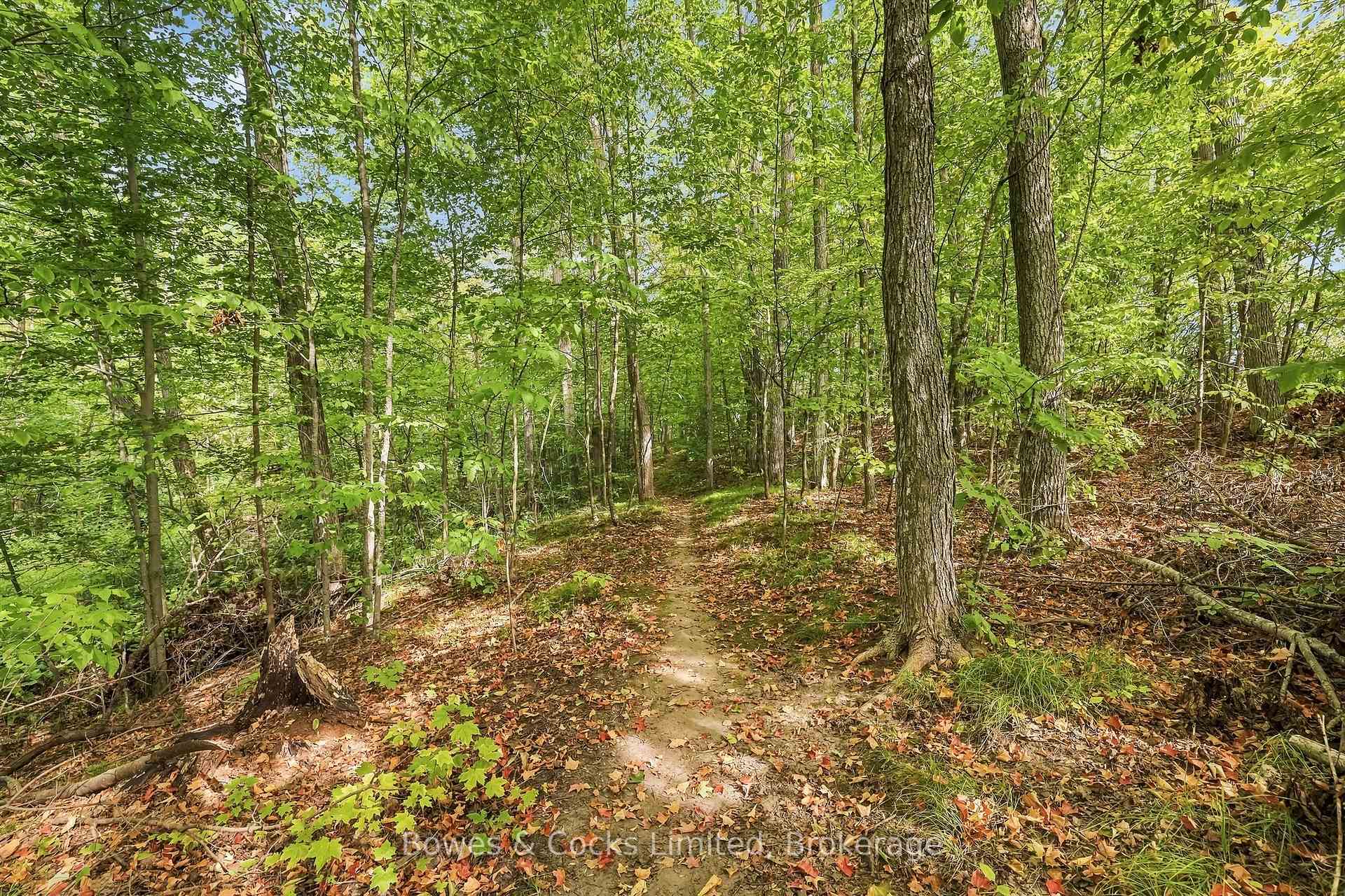 Photo 36 of 1357 Hetherington Drive, Peterborough, Northcrest Ward 5 — HOMEH