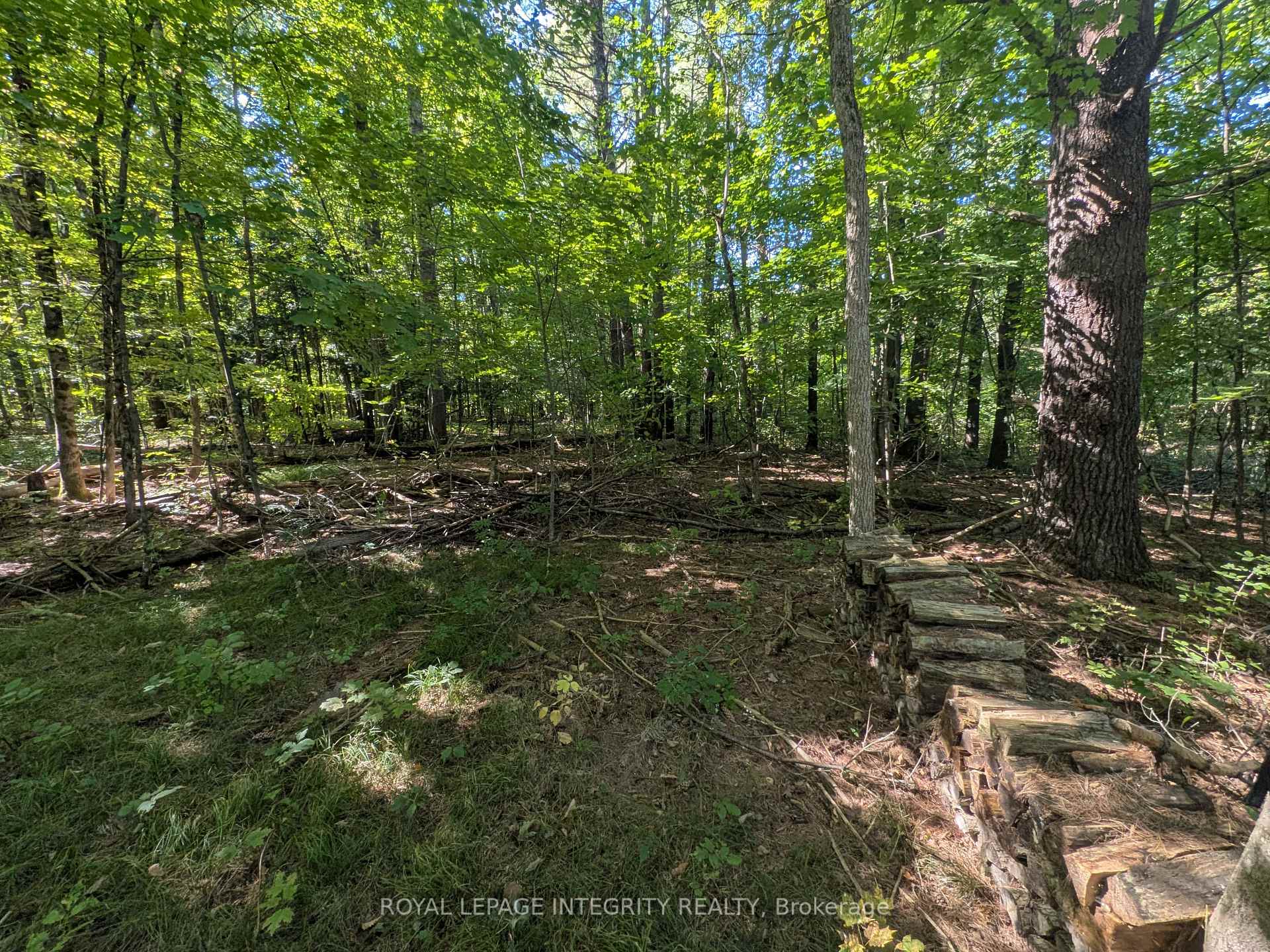 Photo 50 of 229 Norris Road, Tay Valley, Bathurst/Burgess & Sherbrooke (Bathurst) Twp — HOMEH
