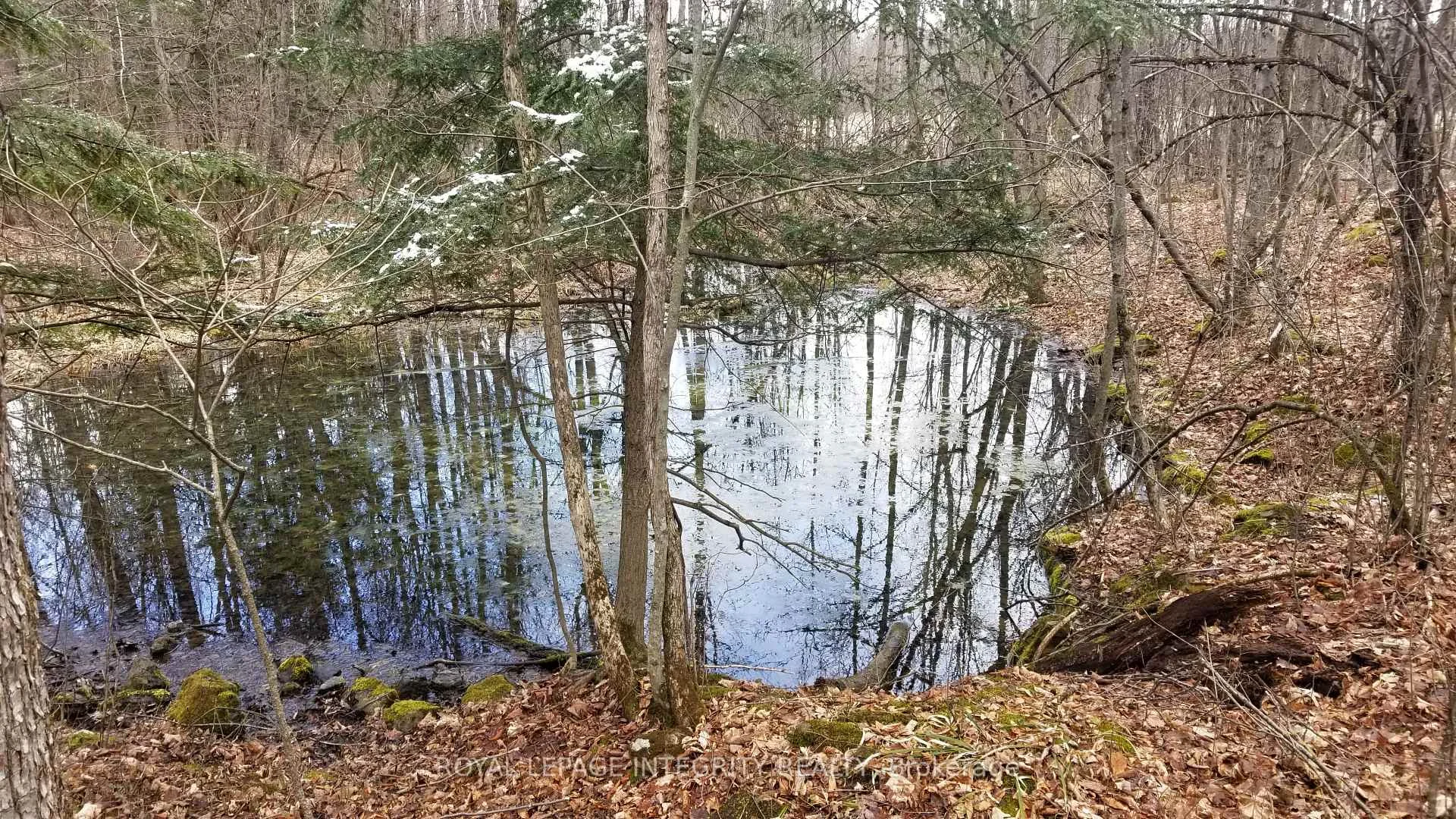 Photo 2 of 229 Norris Road, Tay Valley, Bathurst/Burgess & Sherbrooke (Bathurst) Twp — HOMEH