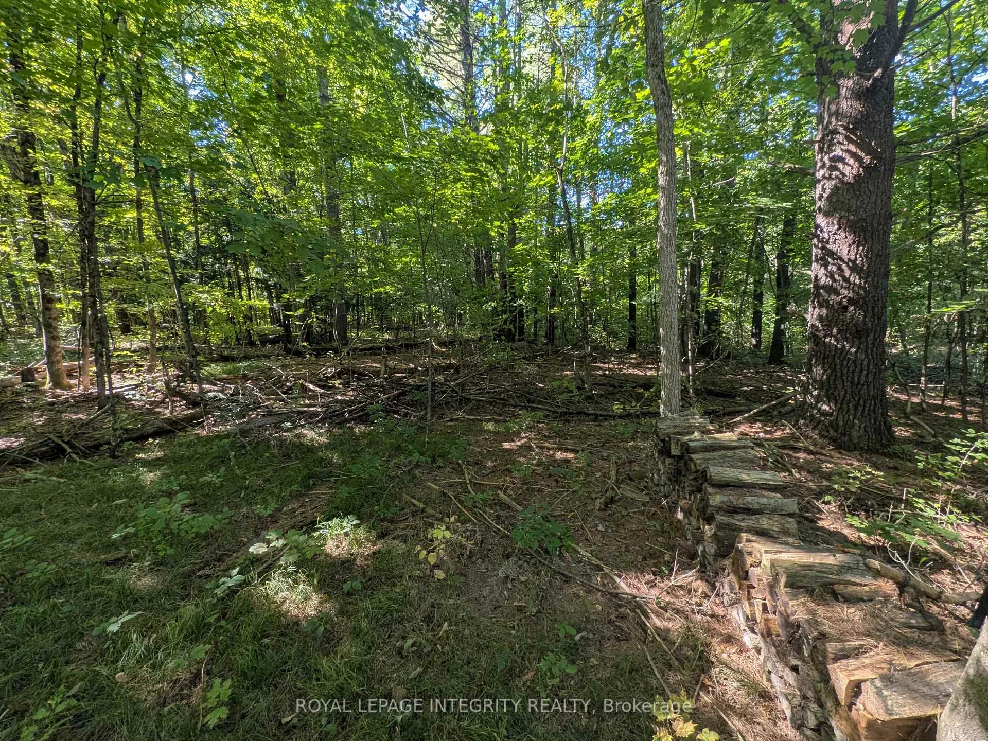 Photo 30 of 229 Norris Road, Tay Valley, Bathurst/Burgess & Sherbrooke (Bathurst) Twp — HOMEH