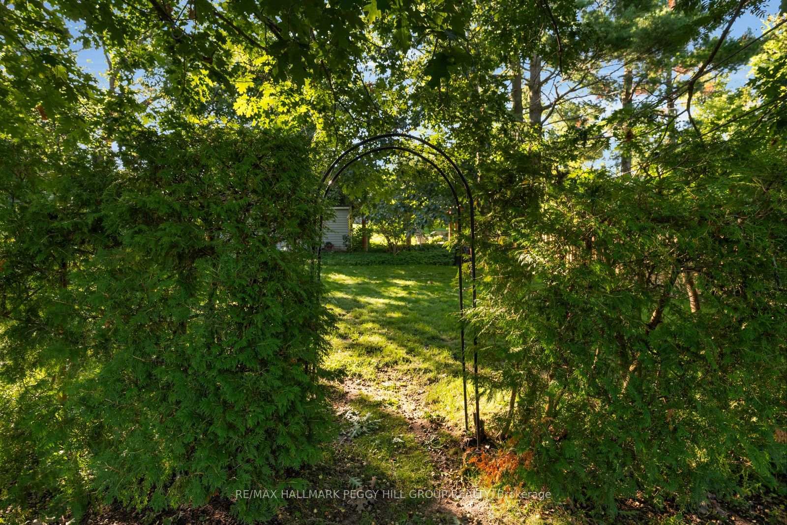 Photo 18 of 109 Codrington Street, Barrie, Codrington — HOMEH