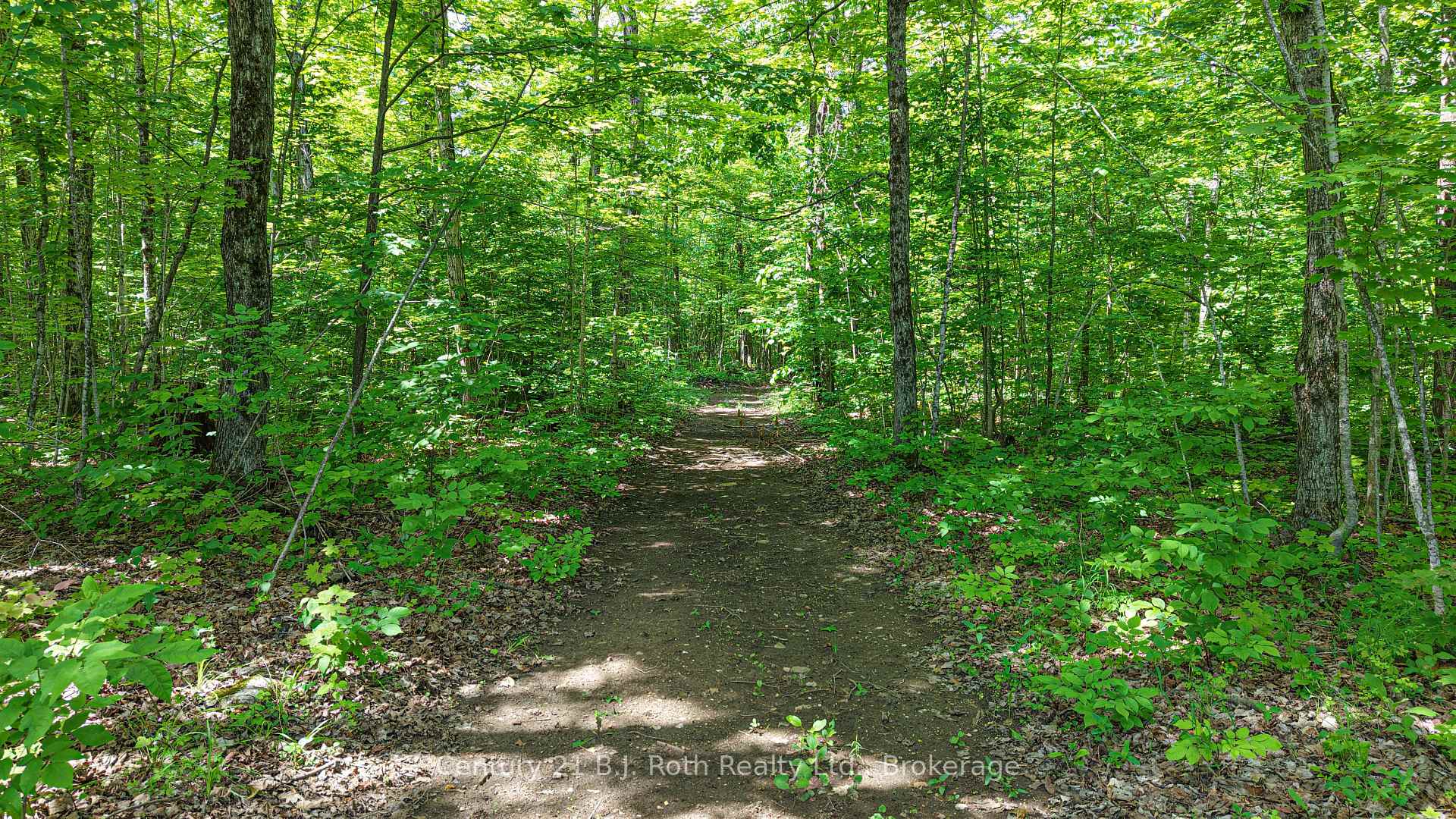 Photo 12 of 3082 Fairgrounds Road, Severn, Rural Severn — HOMEH