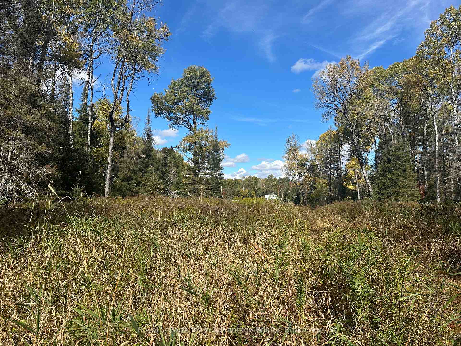 Photo 30 of 3025 Highway 124, Sundridge — HOMEH