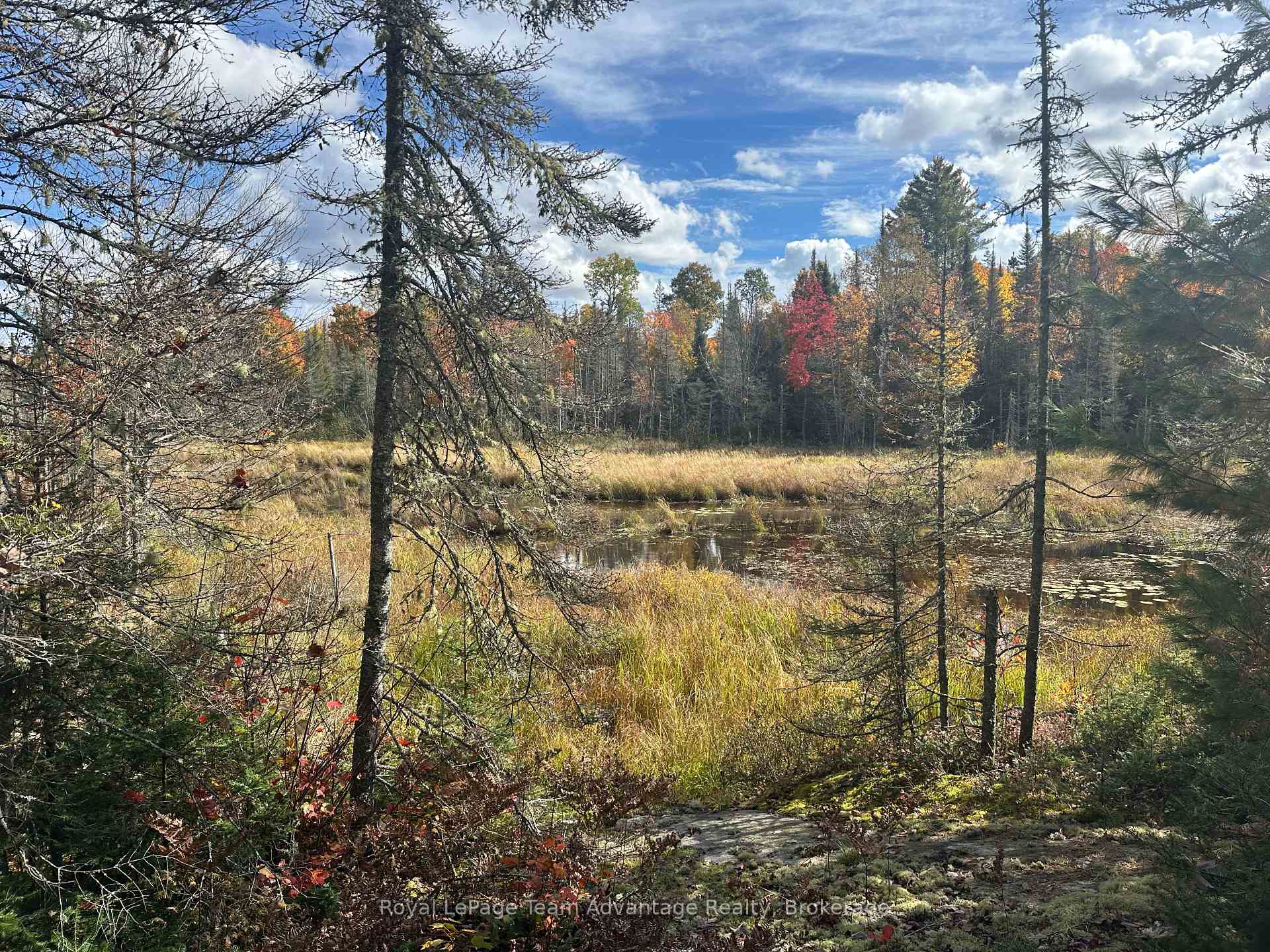 Photo 31 of 3025 Highway 124, Sundridge — HOMEH