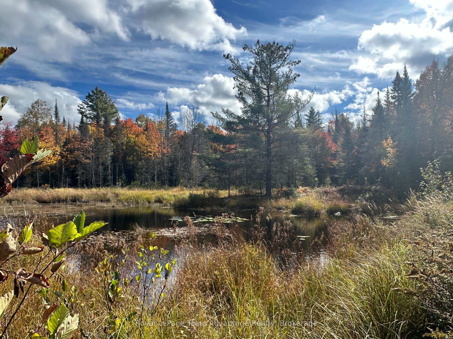 Photo 32 of 3025 Highway 124, Sundridge — HOMEH