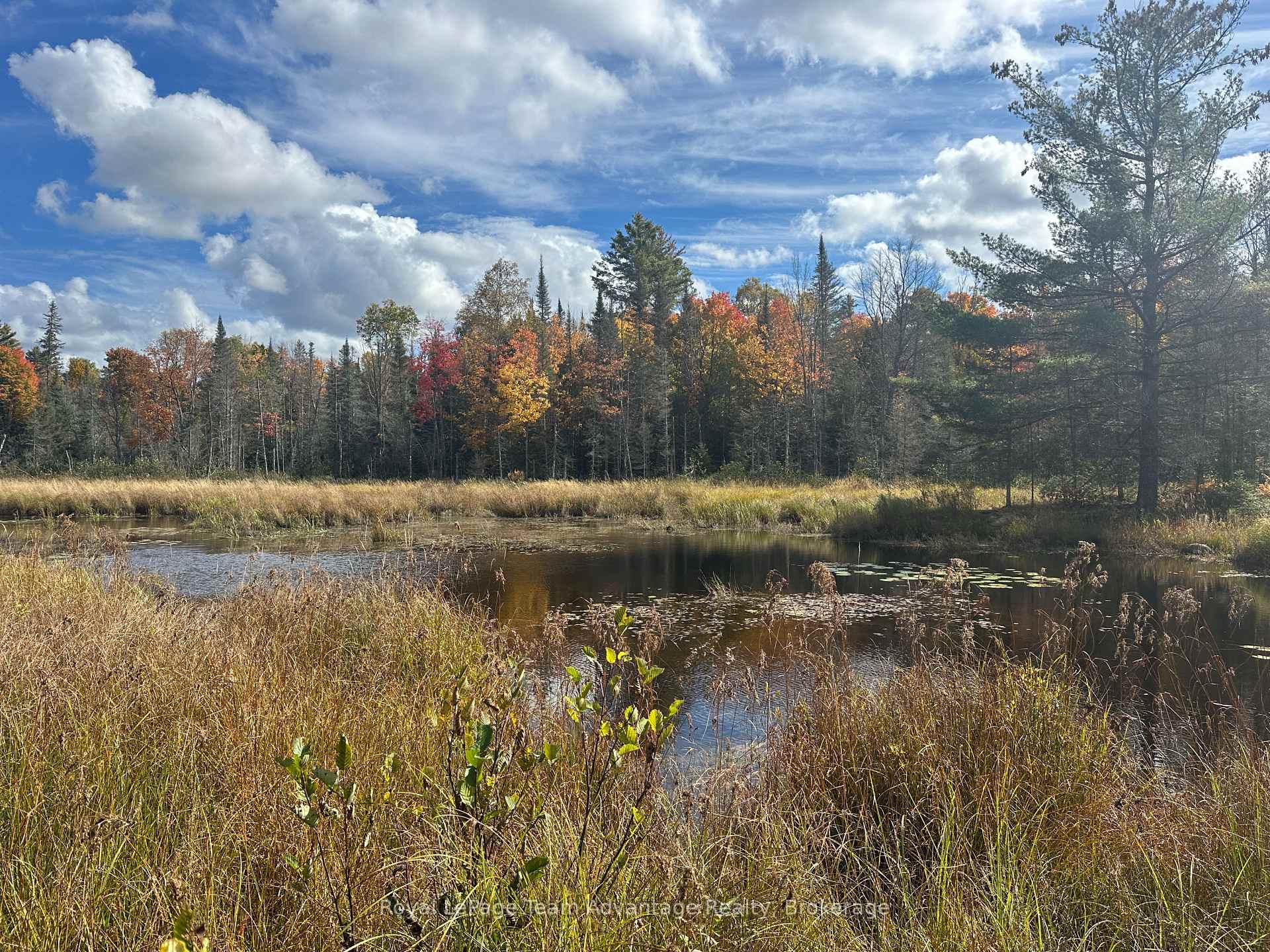 Photo 33 of 3025 Highway 124, Sundridge — HOMEH