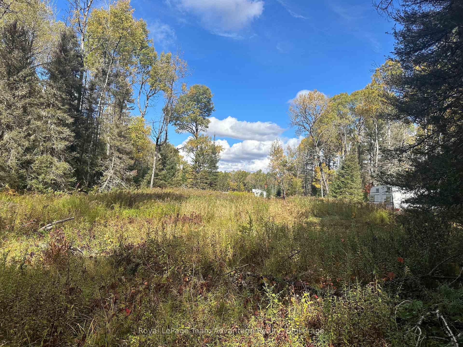 Photo 34 of 3025 Highway 124, Sundridge — HOMEH