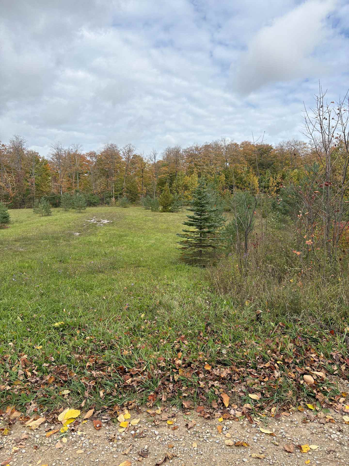 Photo 5 of Side Road 60, Chatsworth — HOMEH