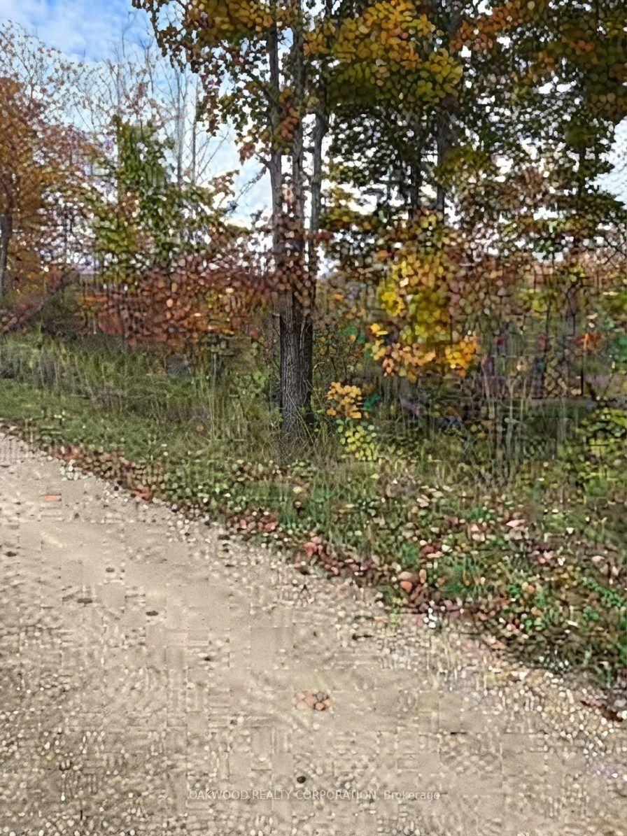 Photo 3 of Side Road 60, Chatsworth — HOMEH