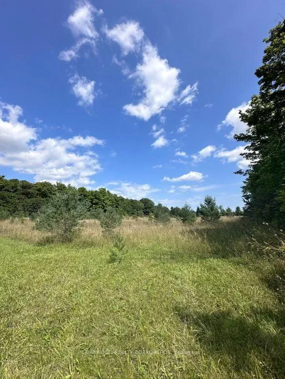 Photo 2 of Side Road 60, Chatsworth — HOMEH
