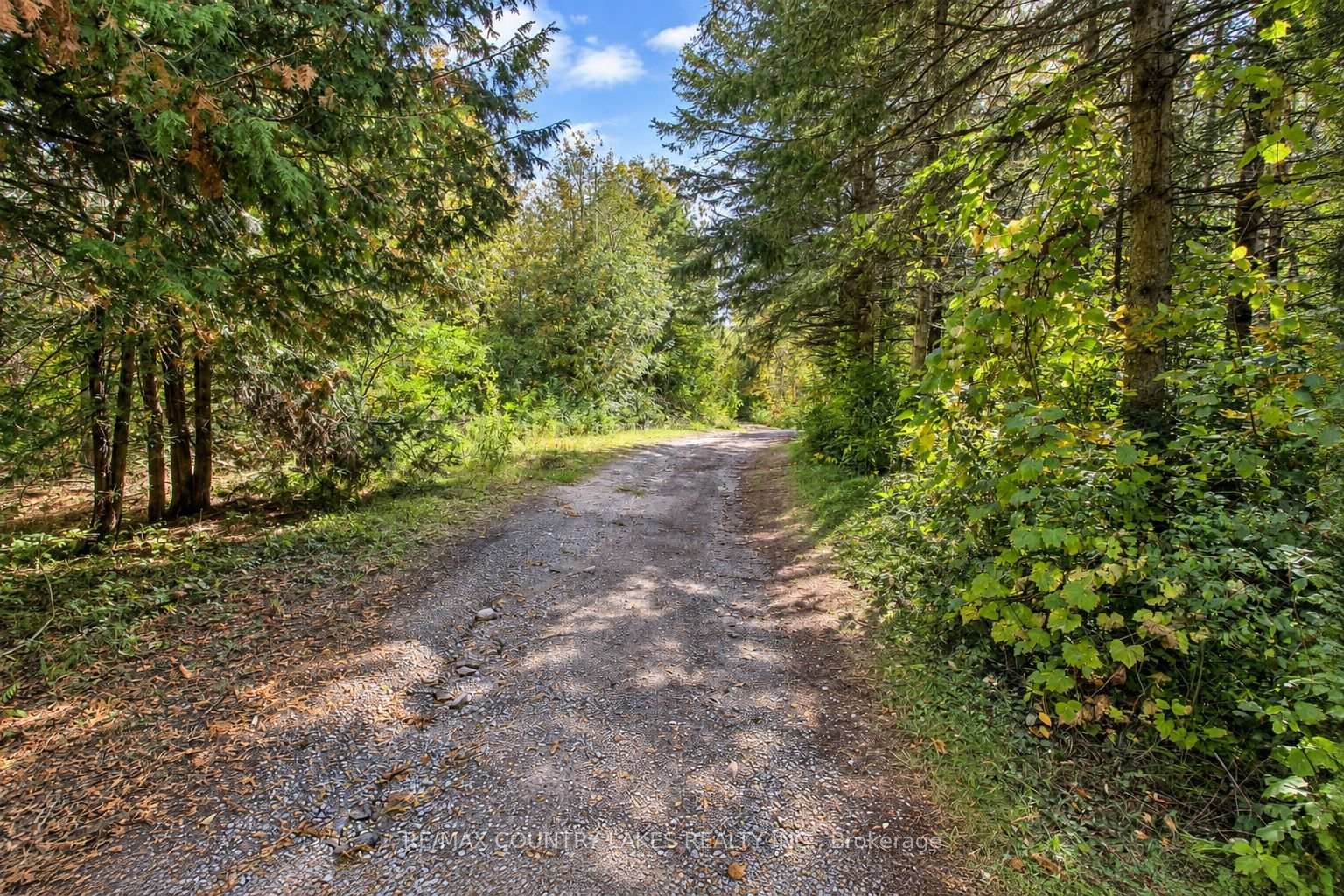 Photo 42 of 1945 County Road 48, Kawartha Lakes, Bexley — HOMEH