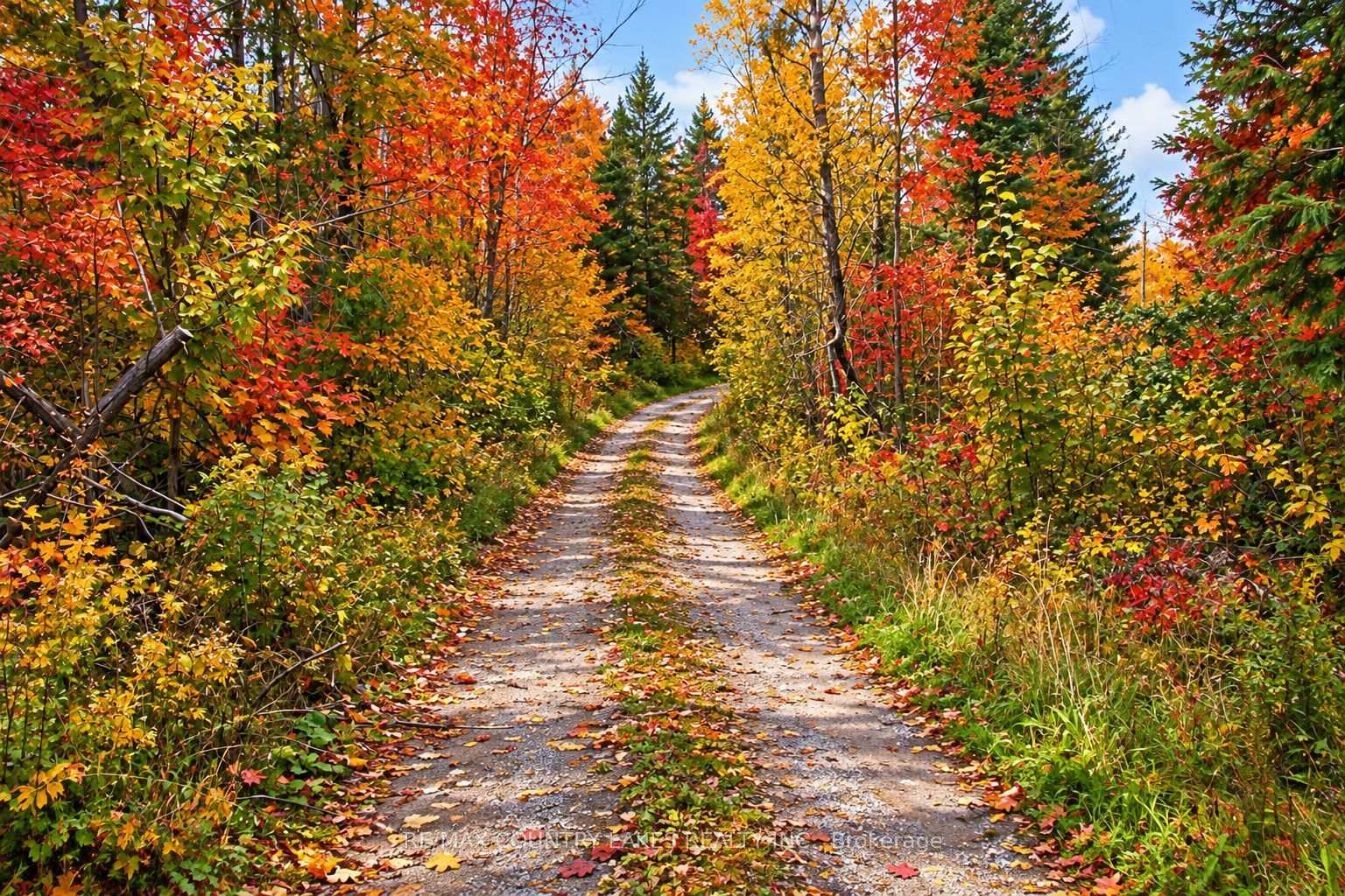 Photo 48 of 1945 County Road 48, Kawartha Lakes, Bexley — HOMEH