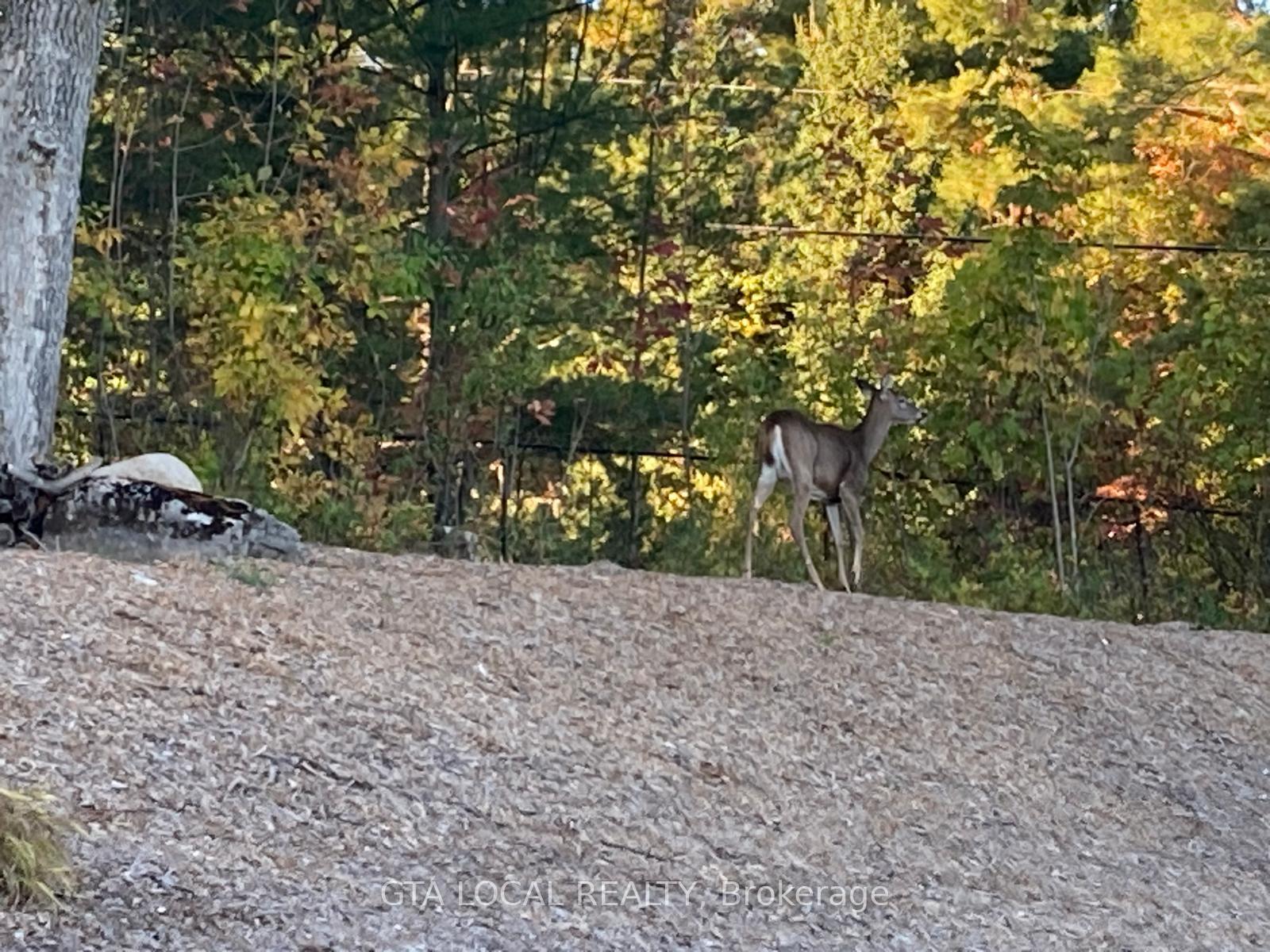 Photo 8 of lot 25 Fire Route, Trent Lakes — HOMEH
