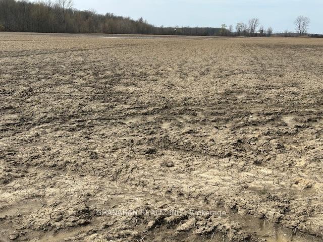 Photo 21 of 2107 Gould Road, Dawn-Euphemia, Dawn Euphemia — HOMEH