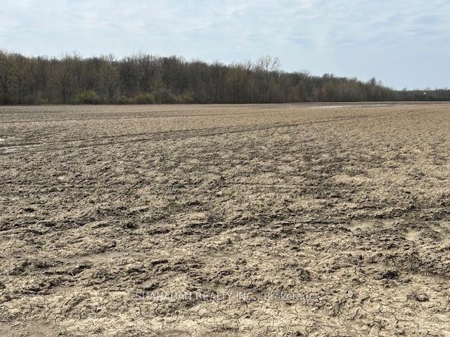 Photo 22 of 2107 Gould Road, Dawn-Euphemia, Dawn Euphemia — HOMEH