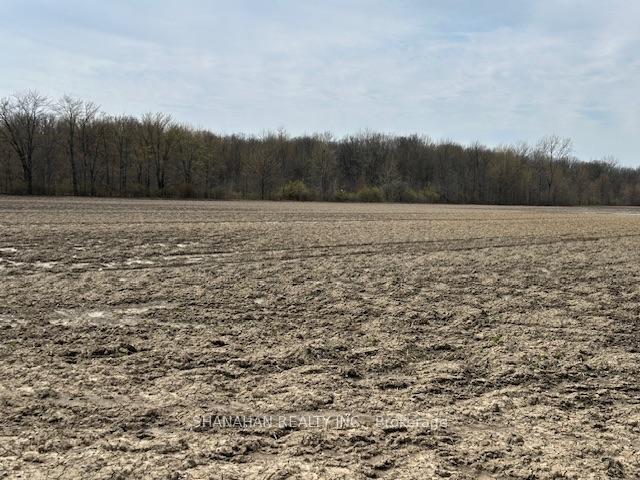 Photo 23 of 2107 Gould Road, Dawn-Euphemia, Dawn Euphemia — HOMEH