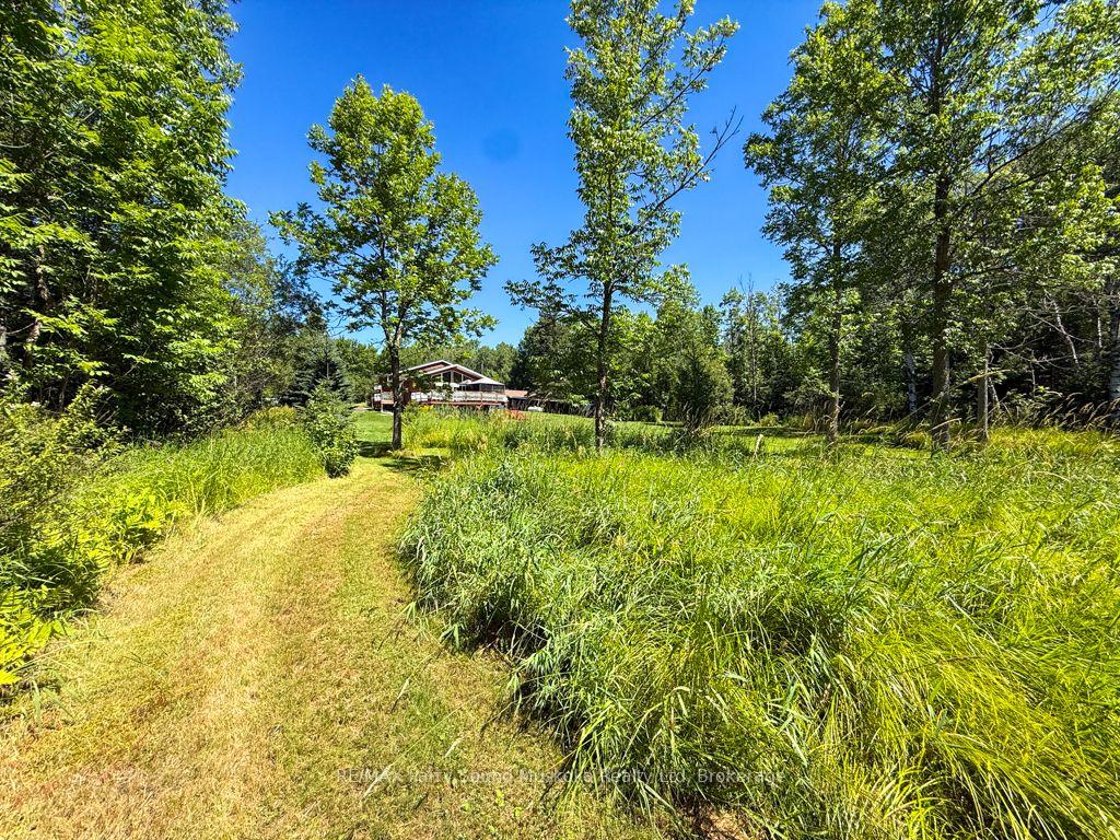 Photo 34 of 4031 Highway 520, Magnetawan — HOMEH