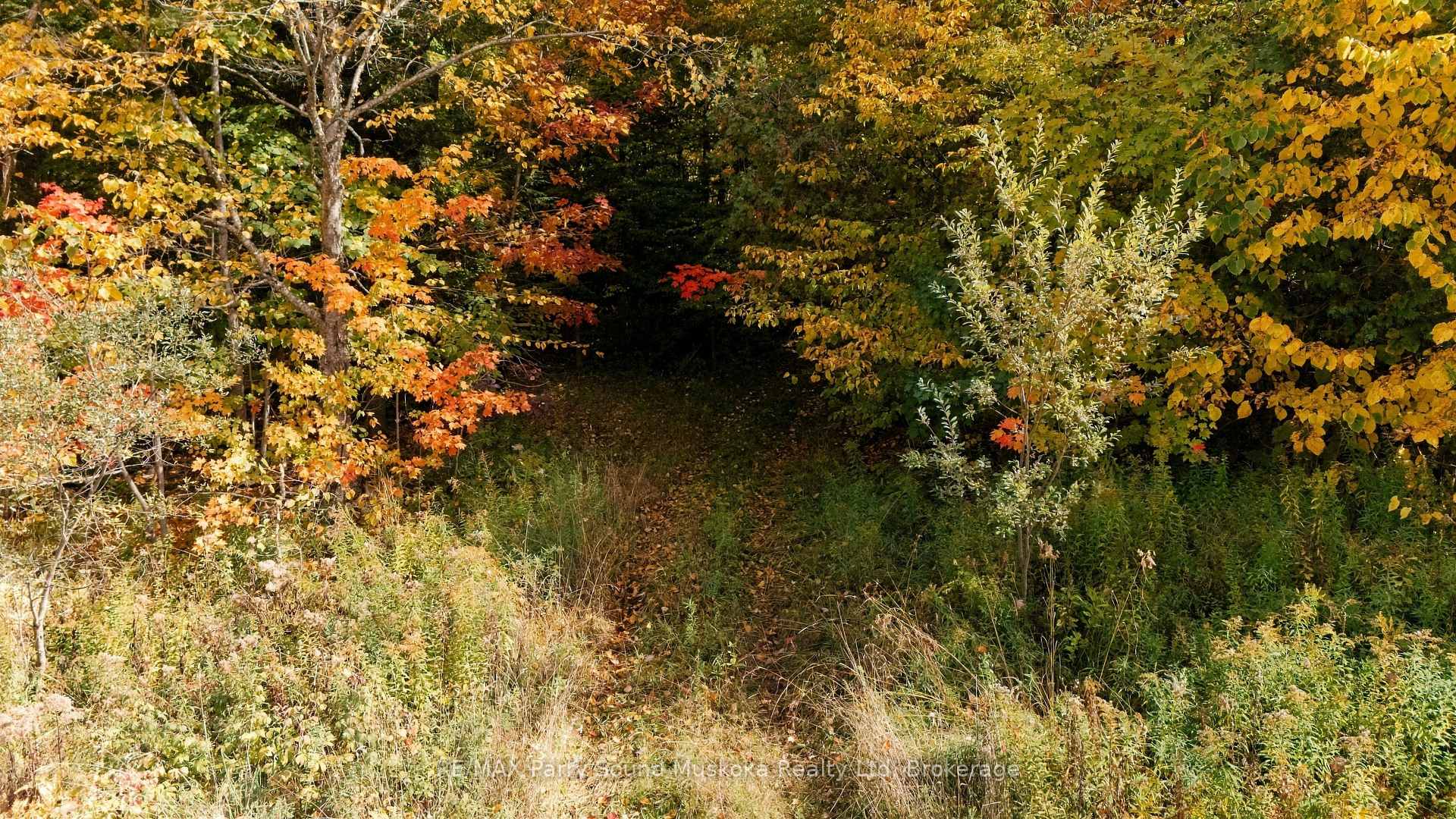 Photo 5 of 3 Maplewood Drive, McKellar — HOMEH