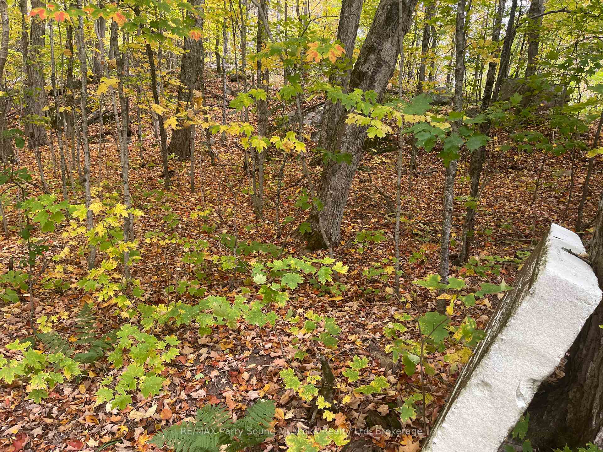 Photo 11 of 3 Maplewood Drive, McKellar — HOMEH