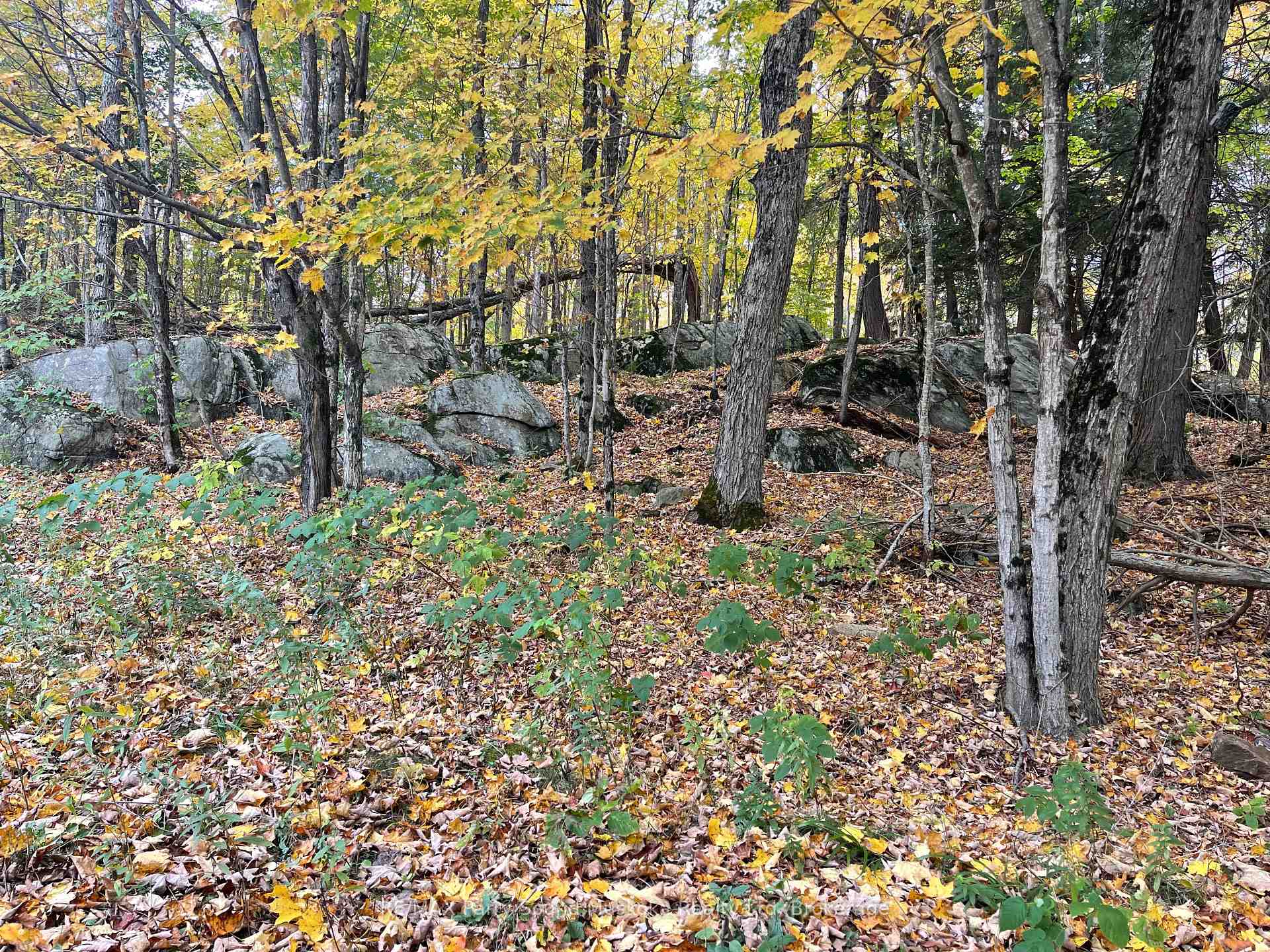 Photo 12 of 3 Maplewood Drive, McKellar — HOMEH