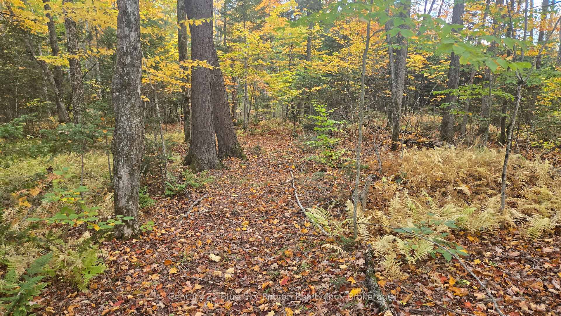 Photo 4 of PT LT 21 CON 5 Wolfe Lake Road, Nipissing — HOMEH