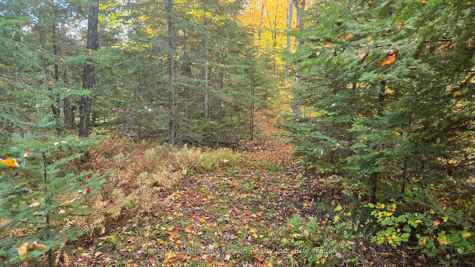 Photo 5 of PT LT 21 CON 5 Wolfe Lake Road, Nipissing — HOMEH