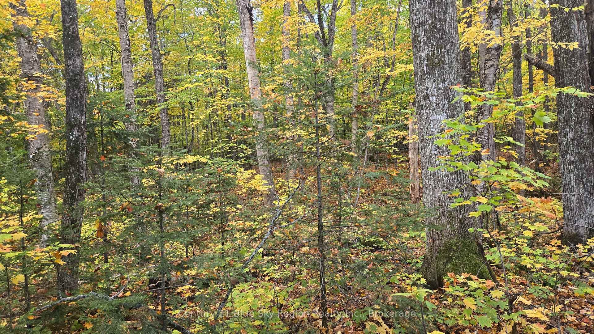 Photo 6 of PT LT 21 CON 5 Wolfe Lake Road, Nipissing — HOMEH