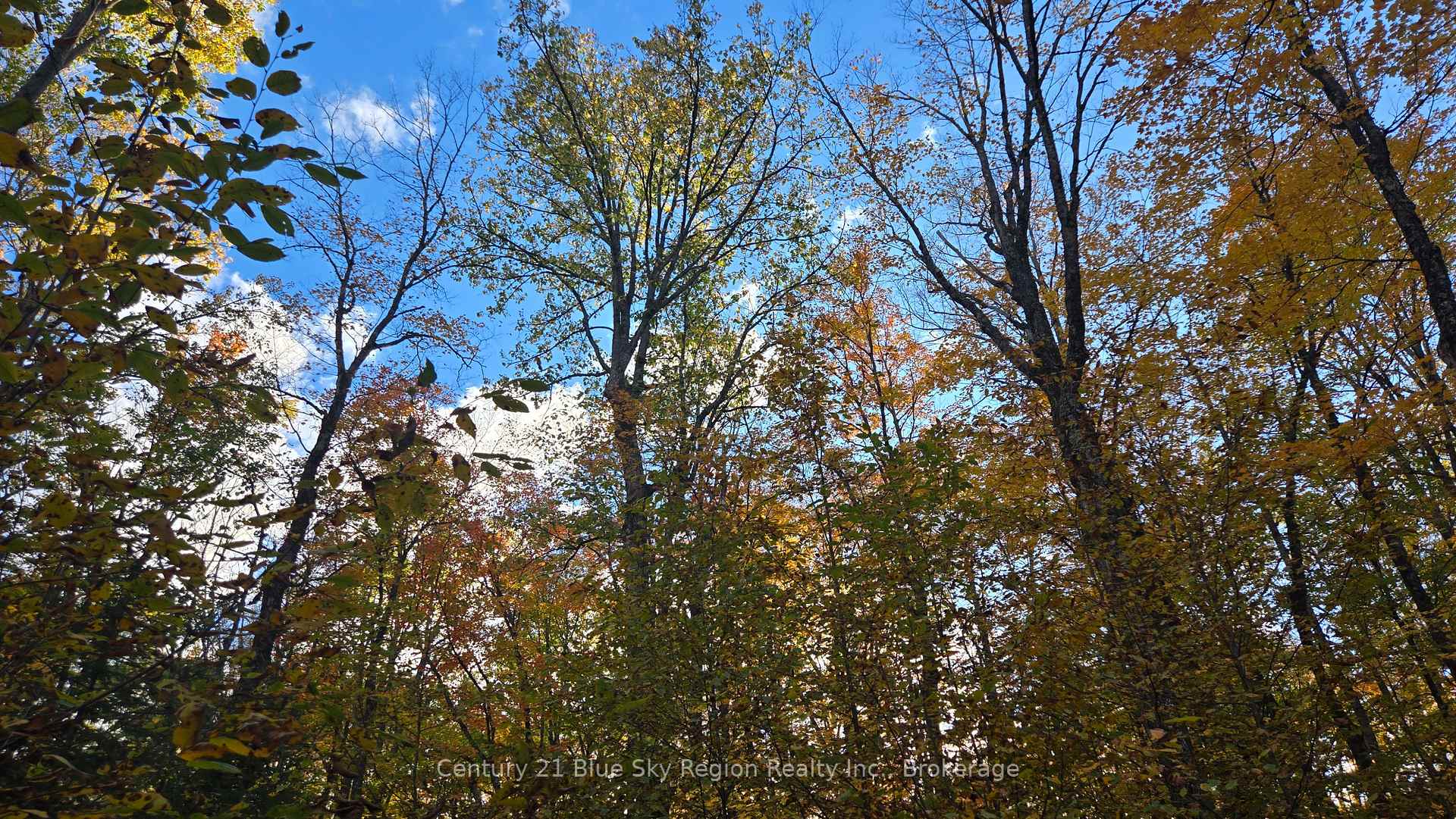 Photo 9 of PT LT 21 CON 5 Wolfe Lake Road, Nipissing — HOMEH