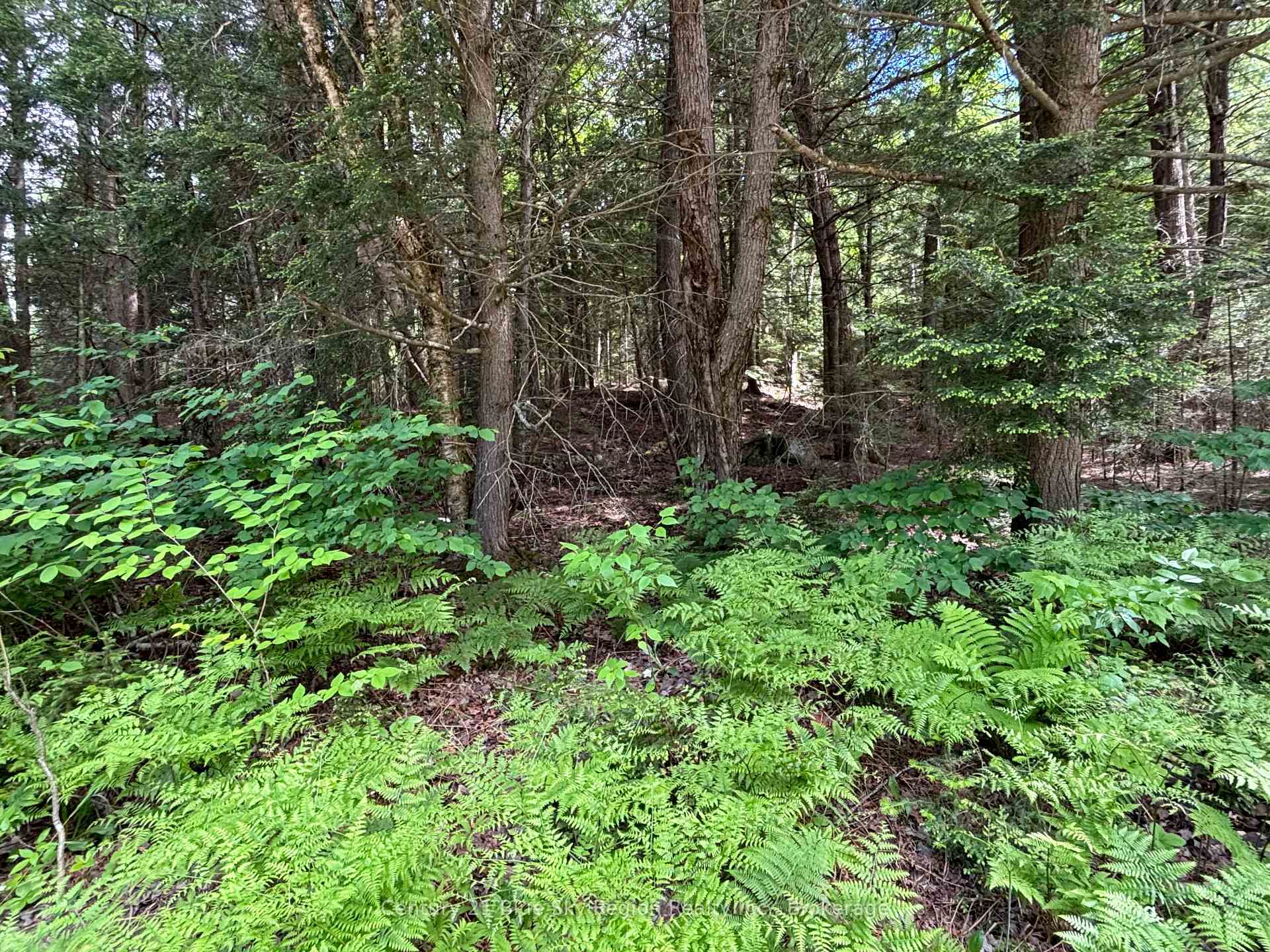 Photo 4 of Lot 2 Latimer Lane, Calvin — HOMEH