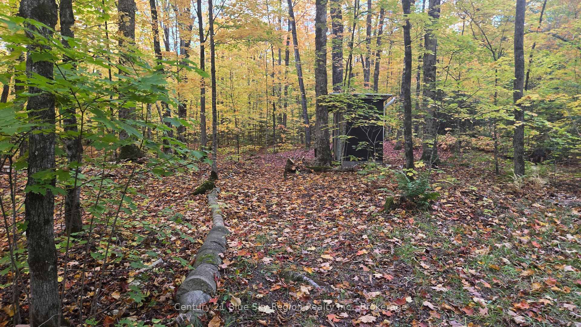 Photo 12 of 390 Wolfe Lake Road, Nipissing — HOMEH