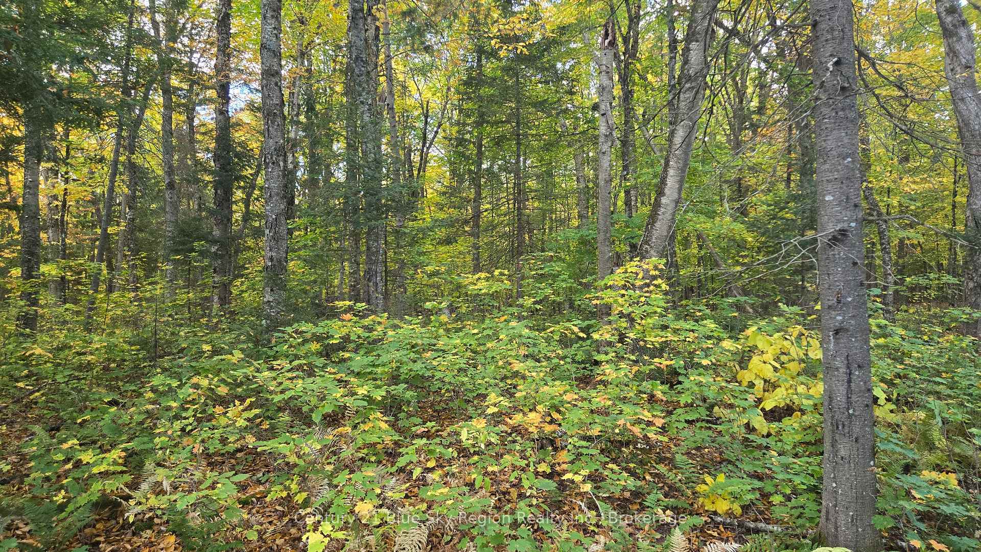 Photo 26 of 390 Wolfe Lake Road, Nipissing — HOMEH