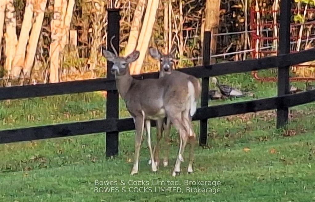 Photo 34 of 72 Jones Road, Wollaston — HOMEH