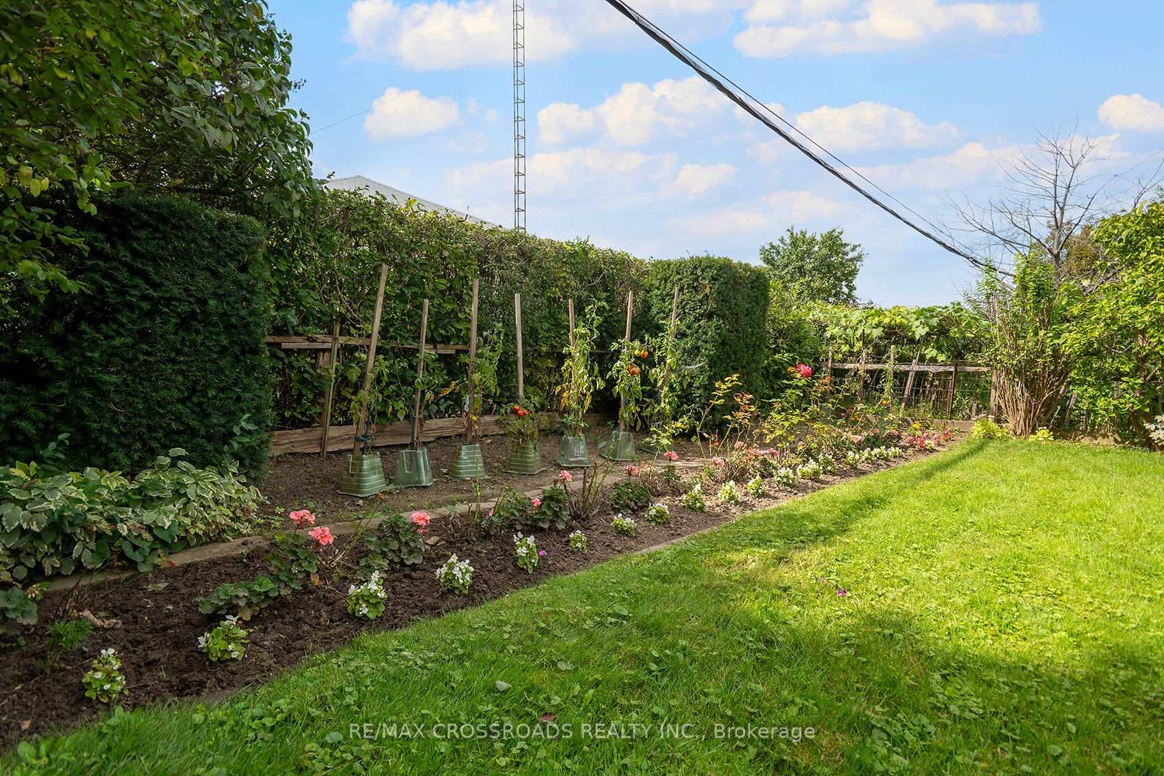 Photo 42 of 1028 Kennedy Road, Scarborough, Dorset Park — HOMEH