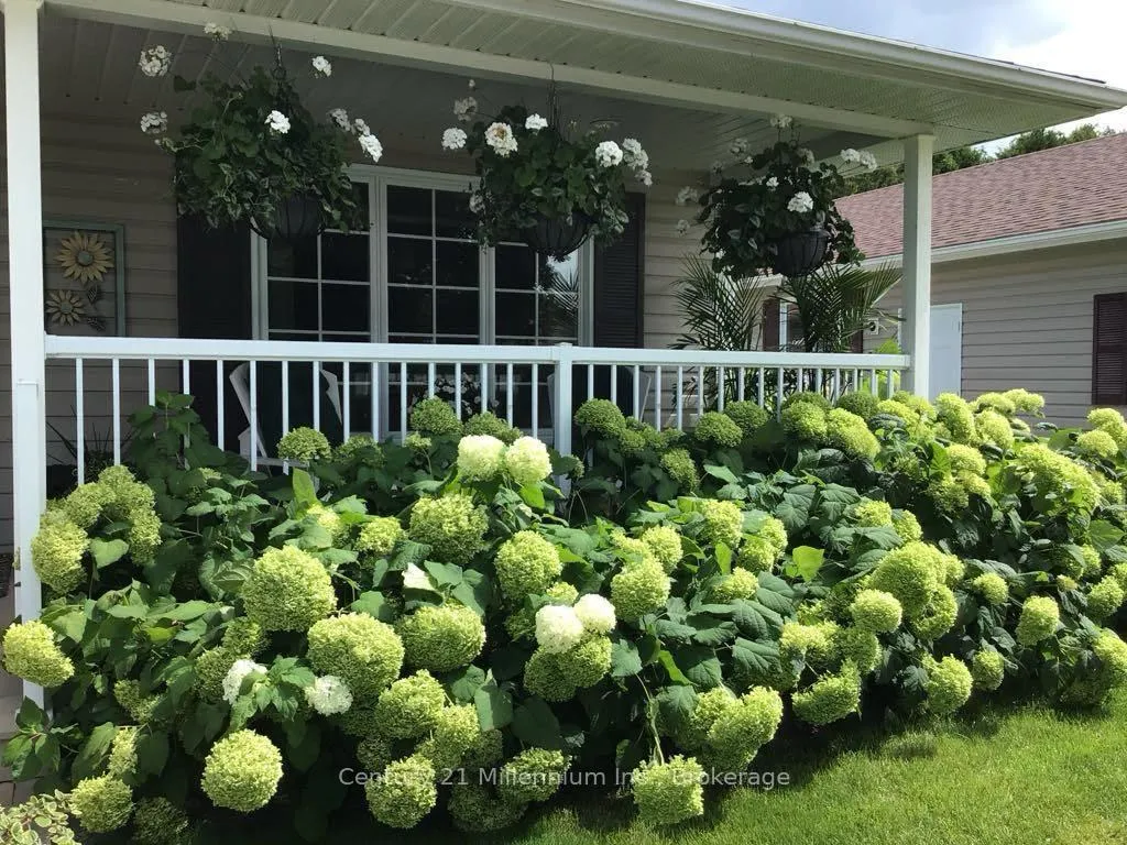 Photo 6 of 13 Virginia Avenue, Wasaga Beach — HOMEH