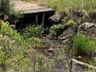 Photo 24 of 1703 Matawatchan Road, North Frontenac — HOMEH