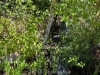 Photo 27 of 1703 Matawatchan Road, North Frontenac — HOMEH