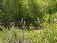 Photo 28 of 1703 Matawatchan Road, North Frontenac — HOMEH