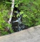 Photo 29 of 1703 Matawatchan Road, North Frontenac — HOMEH