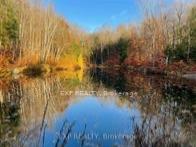 Photo 37 of 1703 Matawatchan Road, North Frontenac — HOMEH