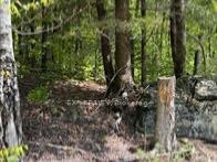 Photo 40 of 1703 Matawatchan Road, North Frontenac — HOMEH